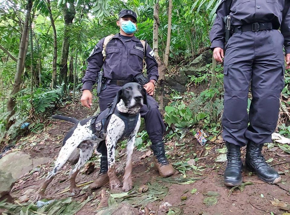 Furst el agente k9 que encontró a una familia soterrada en El Salvador