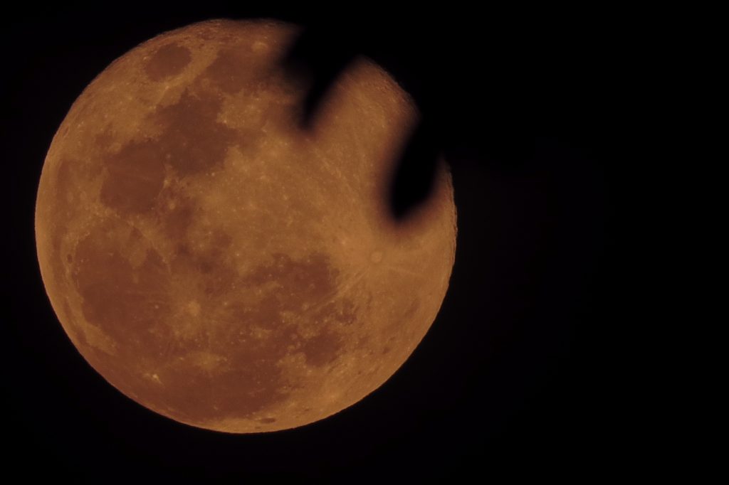 Eclipse de Luna de fresa: en qué países y a qué hora se podrá ver